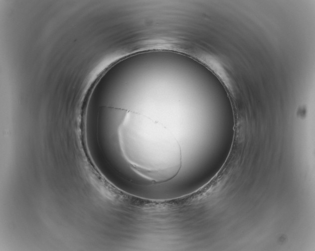 X0000091931051200709121555