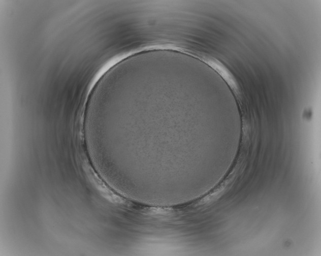 X0000091931052200709121555