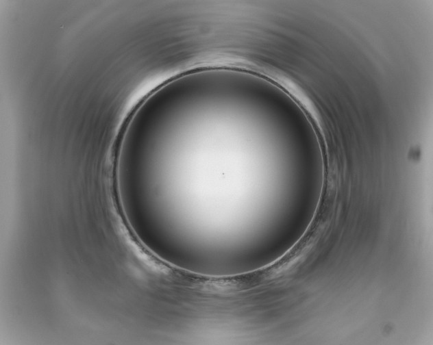 X0000091931053200709121555