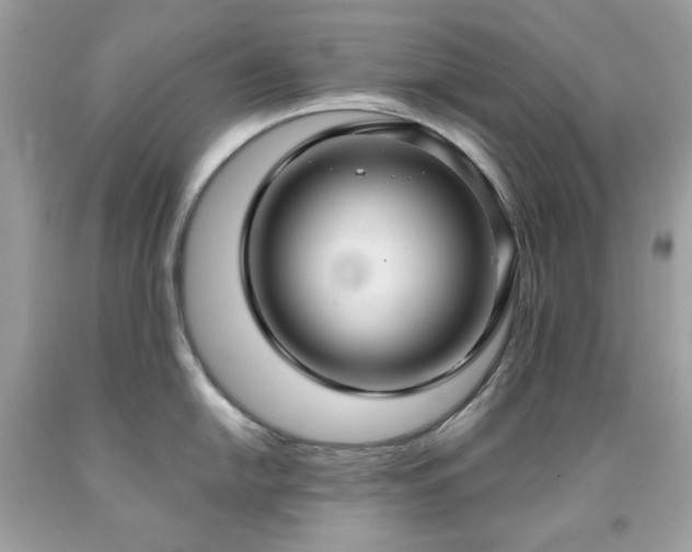 X0000091931054200709121555