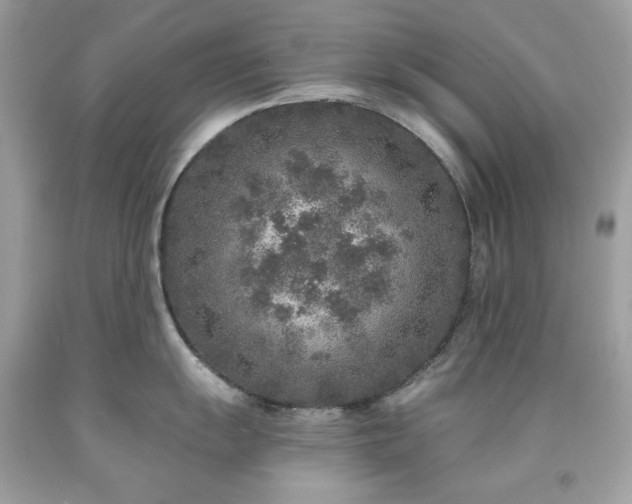 X0000091931055200709121555