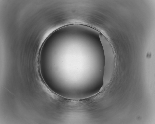 X0000091931056200709121555