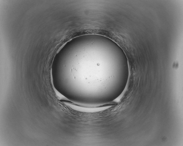 X0000091931057200709121554