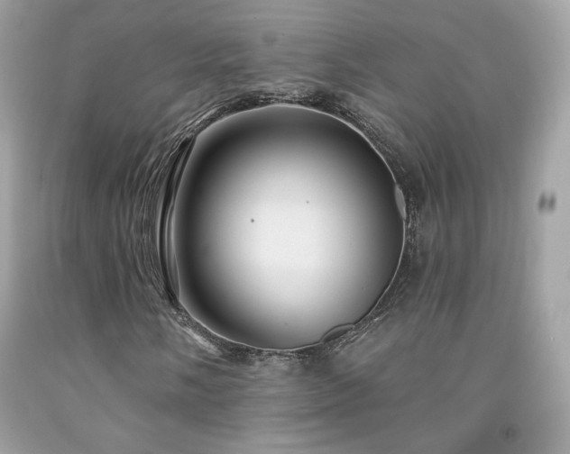 X0000091931058200709121554