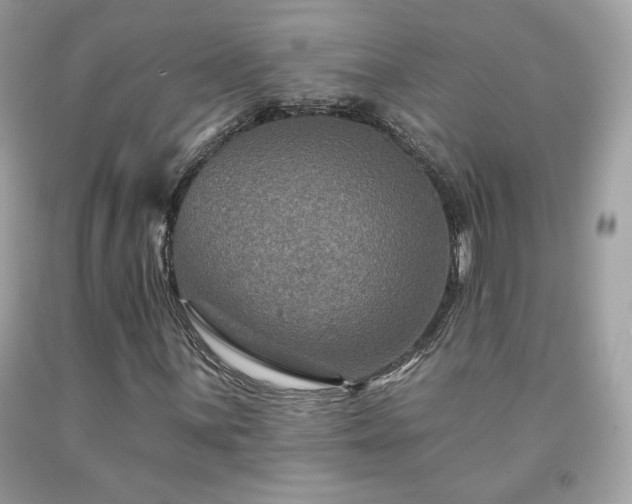 X0000091931059200709121554