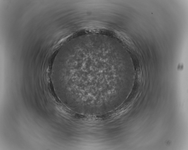 X0000091931060200709121554