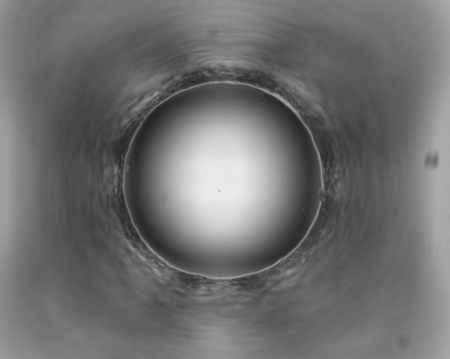 X0000091931061200709121554