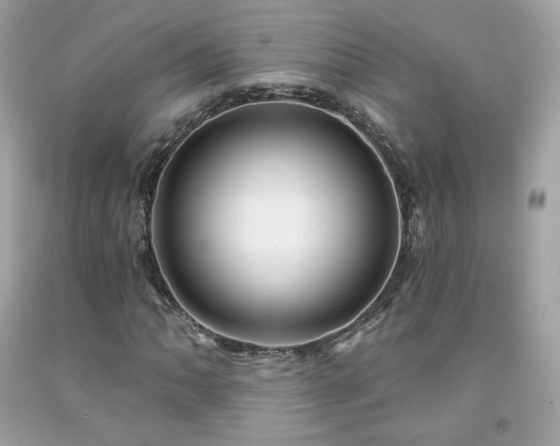 X0000091931062200709121554