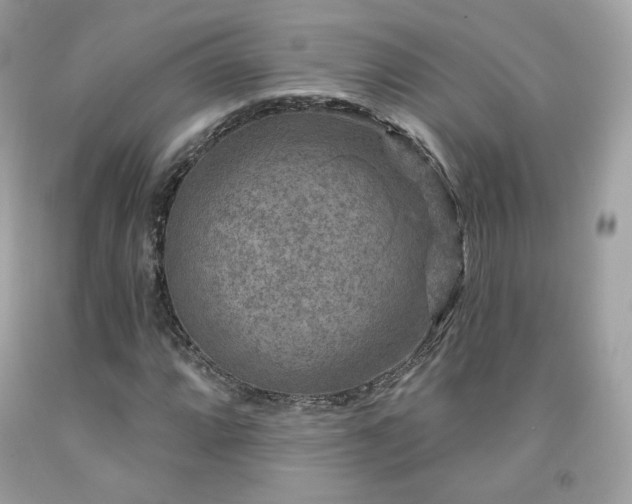 X0000091931064200709121554