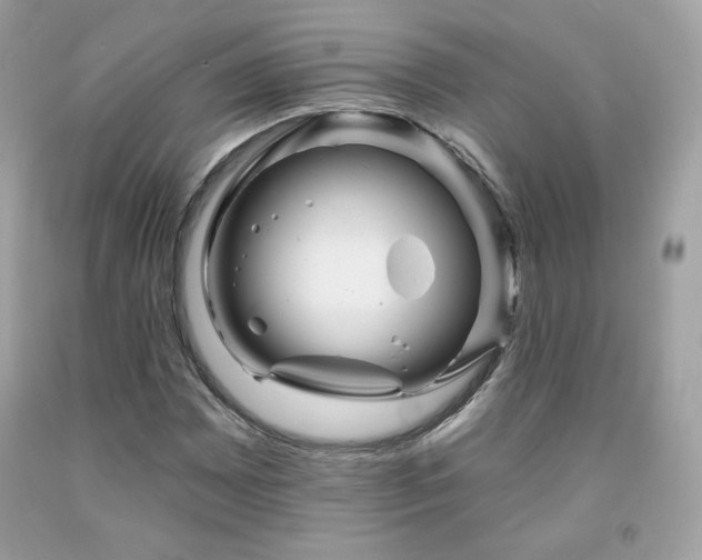 X0000091931065200709121554