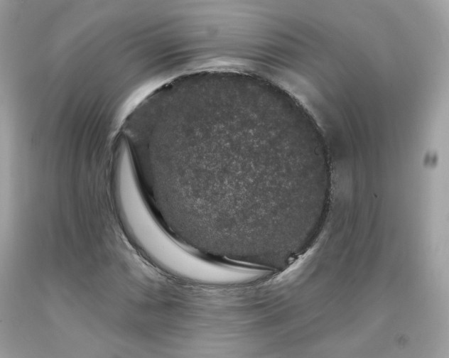 X0000091931066200709121554