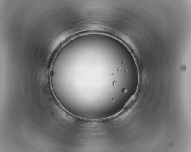 X0000091931067200709121554