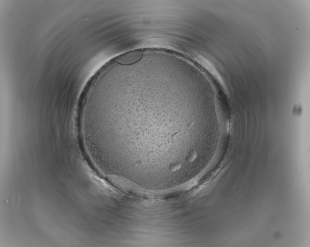 X0000091931068200709121554