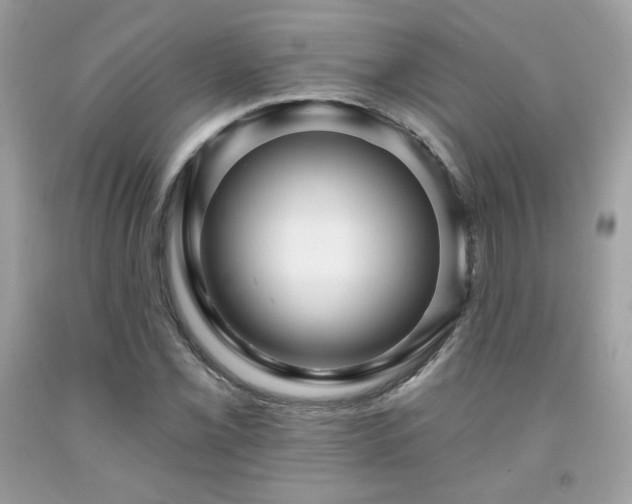 X0000091931069200709121554