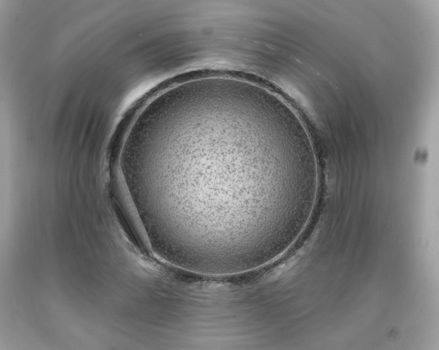 X0000091931070200709121554