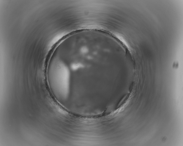 X0000091931071200709121554