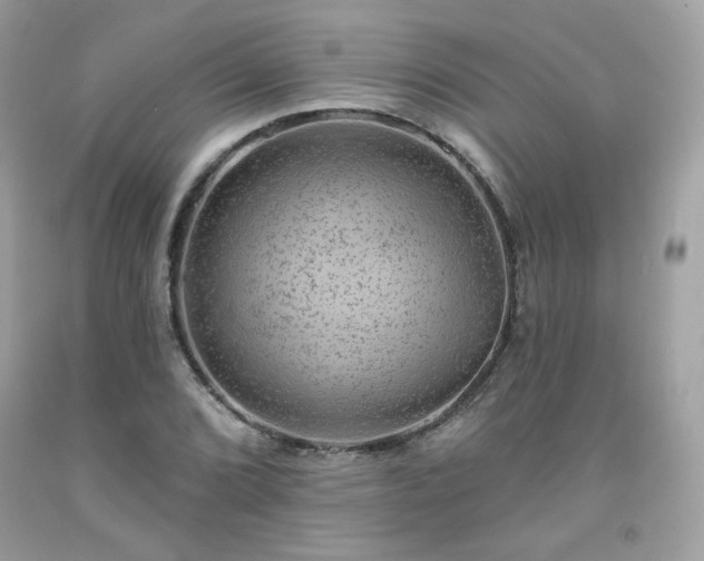 X0000091931072200709121554