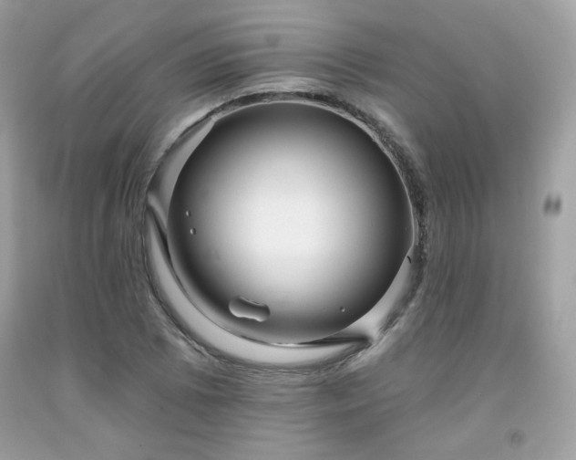X0000091931073200709121554