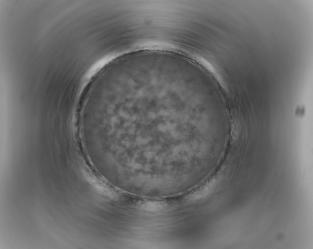 X0000091931074200709121554
