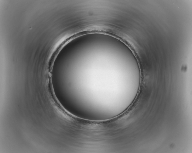 X0000091931075200709121554