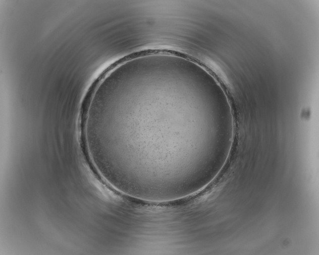 X0000091931076200709121554