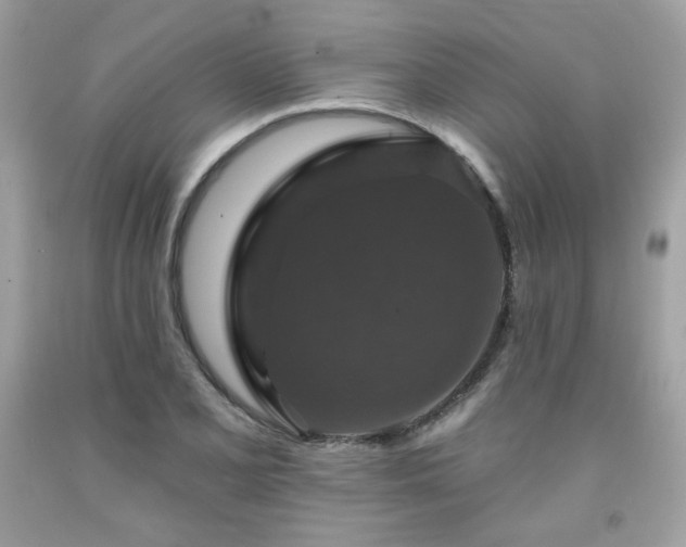 X0000091931077200709121554