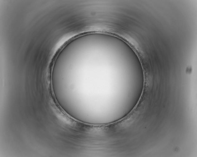 X0000091931078200709121554