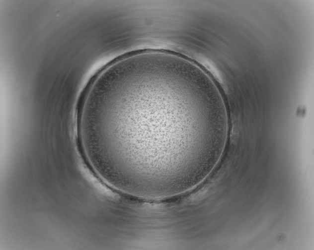 X0000091931080200709121554