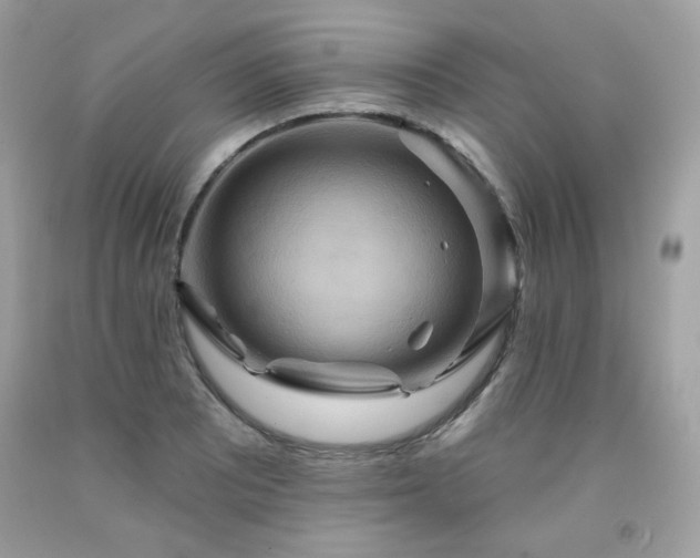 X0000091931081200709121554