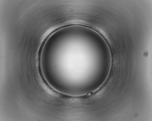 X0000091931082200709121554