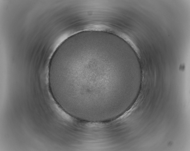 X0000091931083200709121554