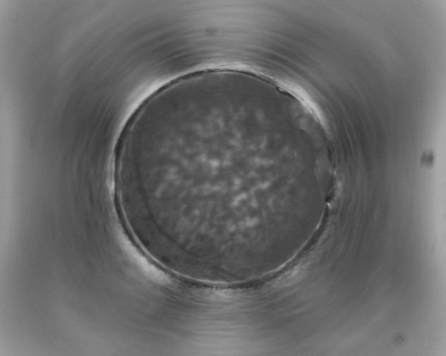X0000091931084200709121554