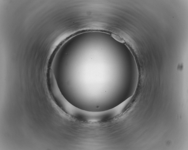 X0000091931085200709121554