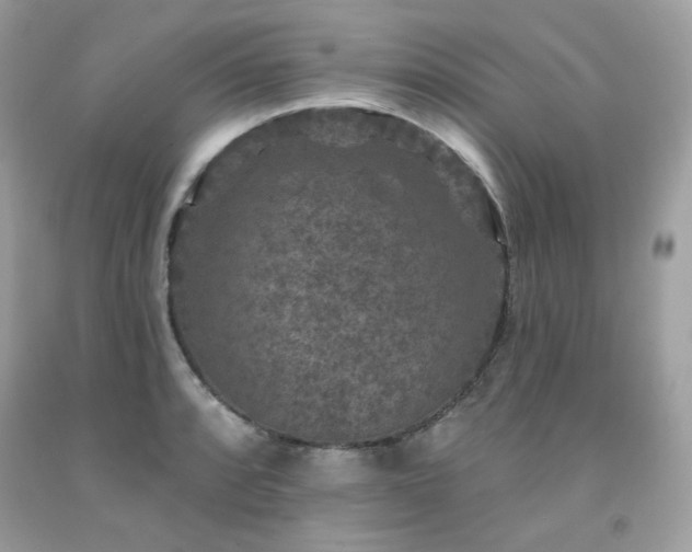 X0000091931088200709121554