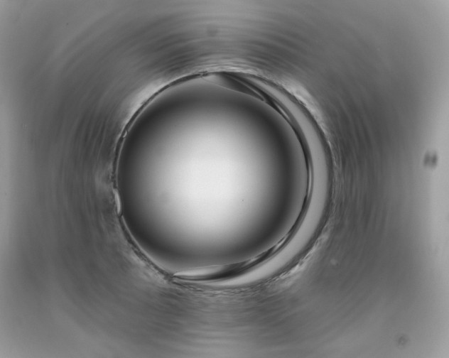 X0000091931089200709121554