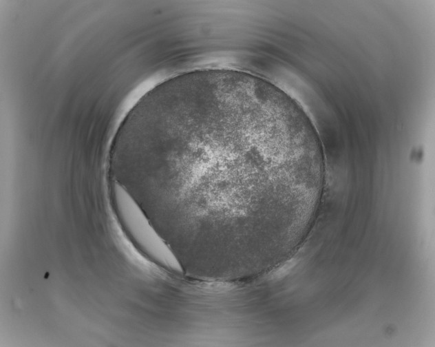 X0000091931090200709121554