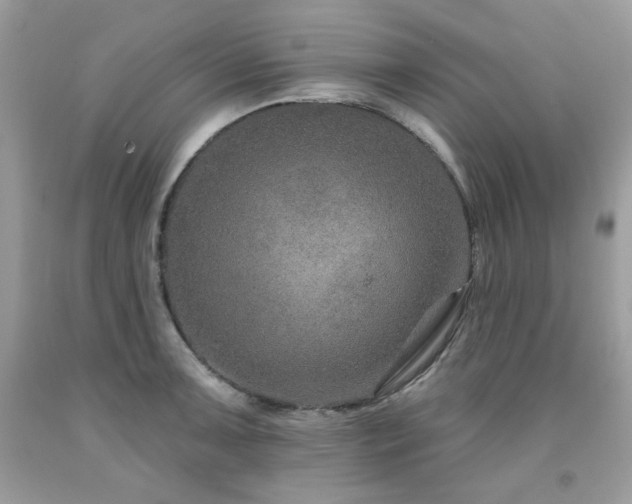X0000091931091200709121554