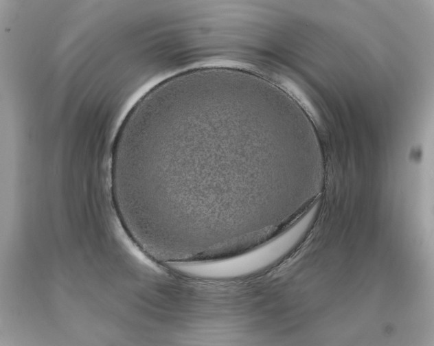 X0000091931092200709121554