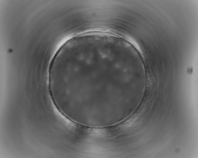 X0000091931095200709121554