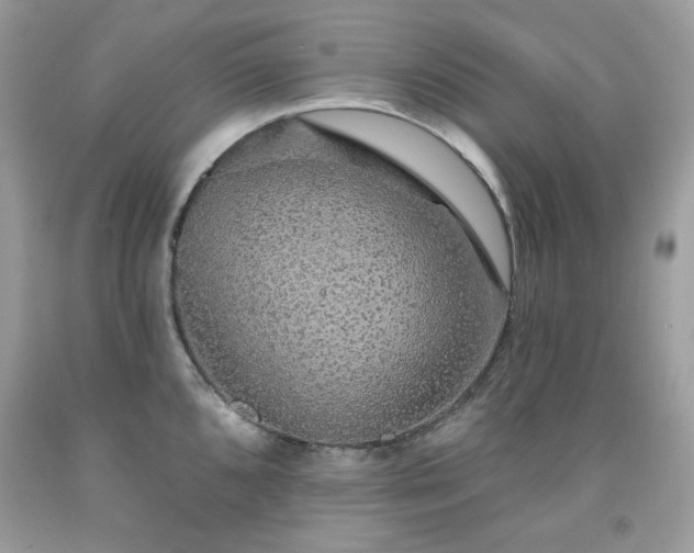 X0000091931096200709121554