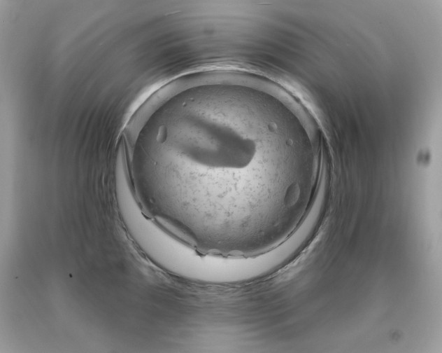 X0000091931097200709121554