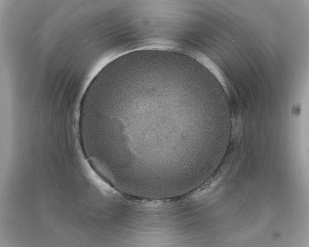 X0000091931099200709121554
