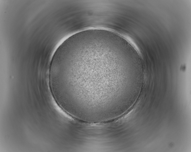 X0000091931100200709121554