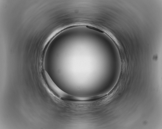 X0000091931101200709121554