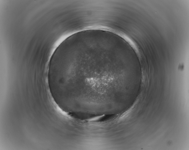 X0000091931102200709121554