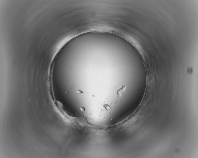X0000091931103200709121554