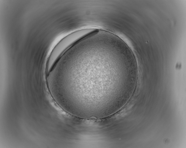 X0000091931104200709121554