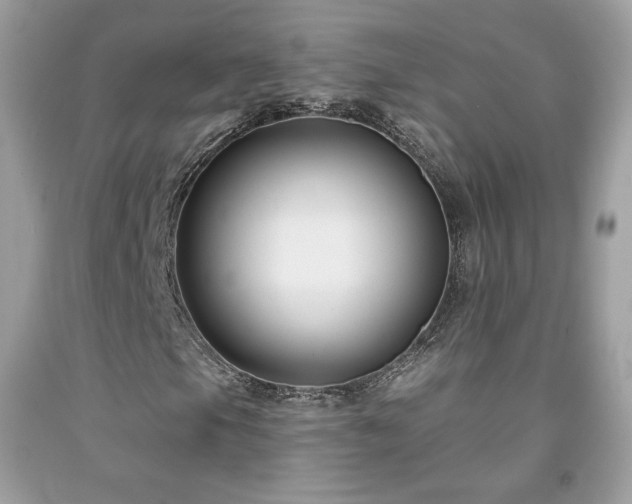 X0000091931105200709121553