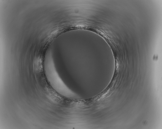X0000091931106200709121553