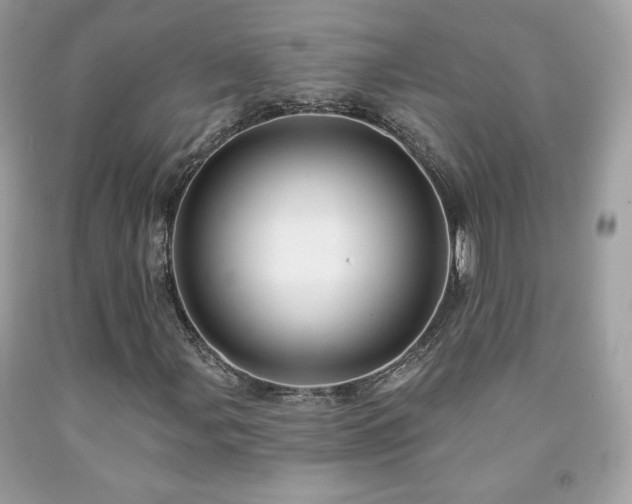 X0000091931107200709121553